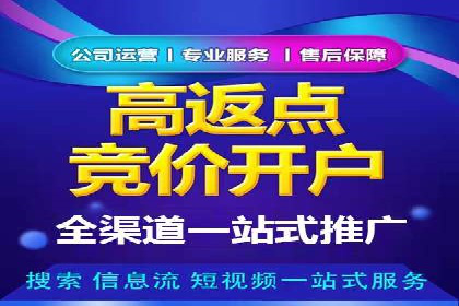 揭秘sem百度竞价背后的成功秘诀与案例
